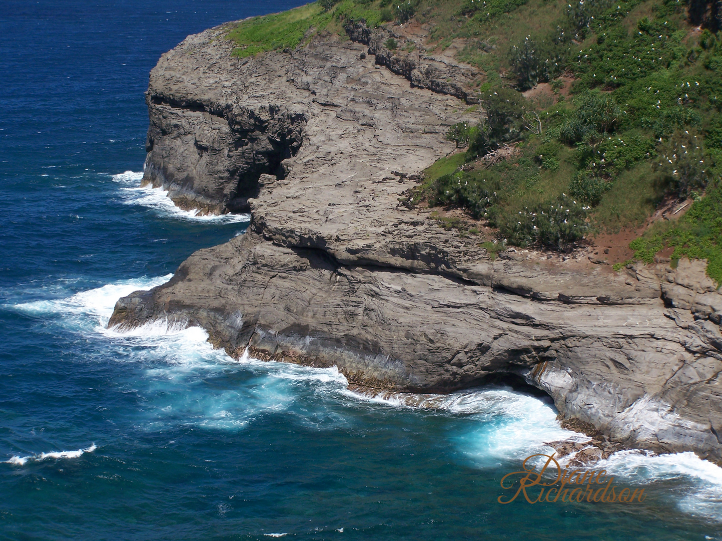 Shoreline of Hawaii