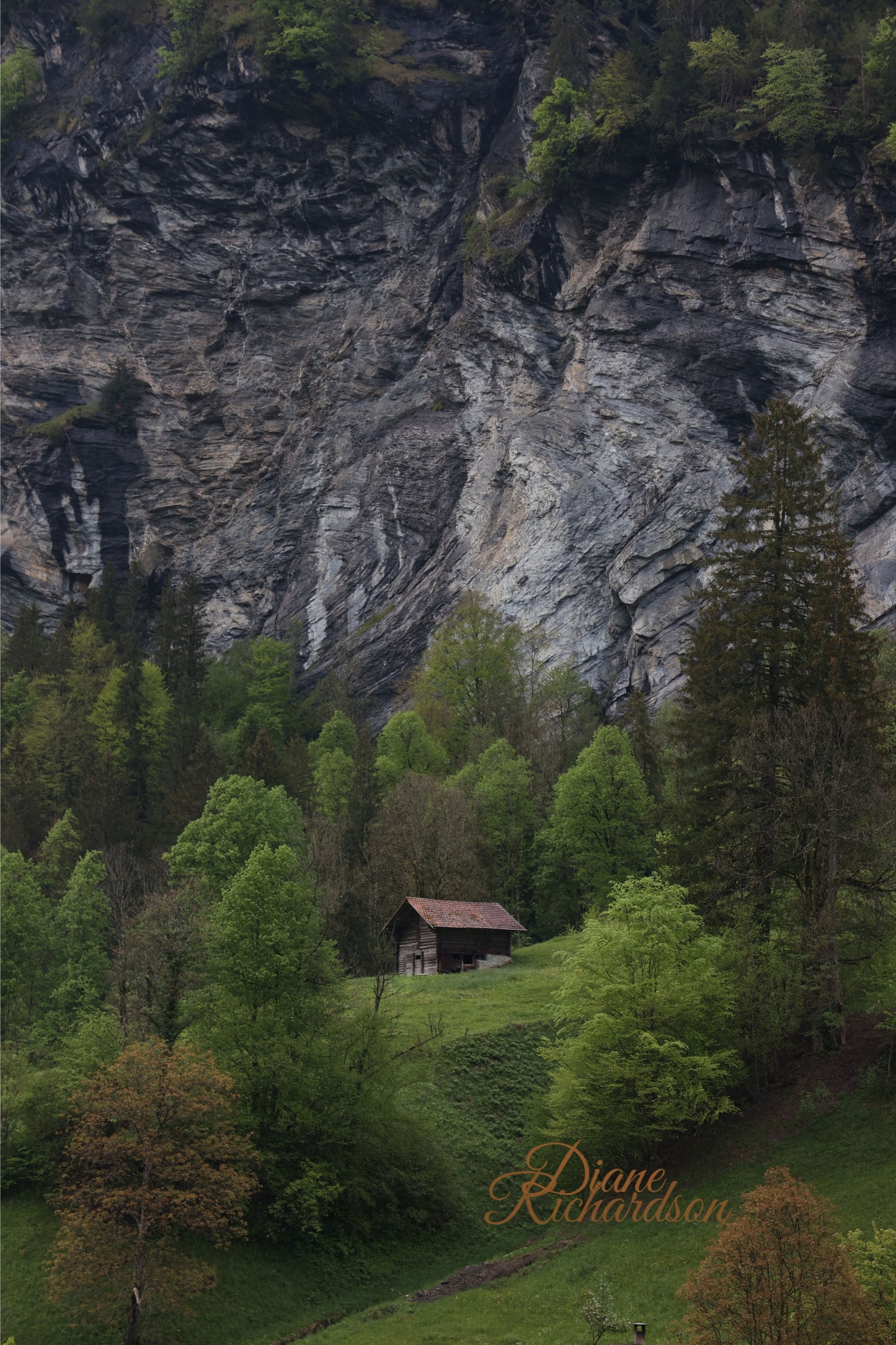 Enchanting Cabin