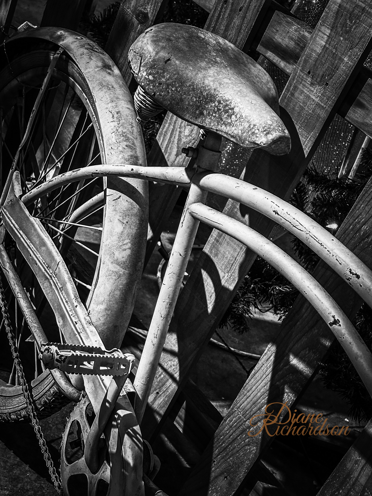 Antique bicycle