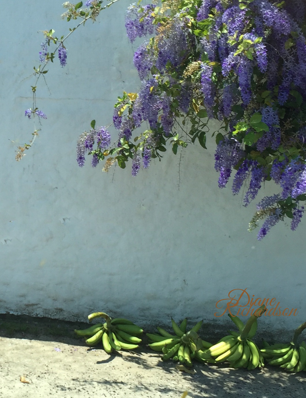 Fruit and flowers